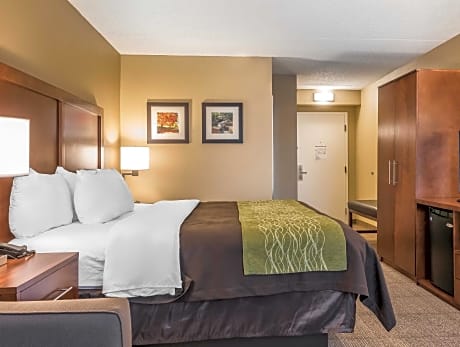 1 King Bed No Smoking