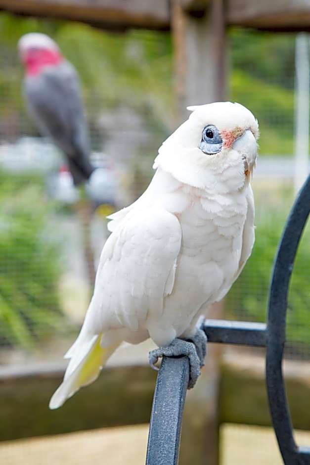 Seven Mile Beach Holiday Park