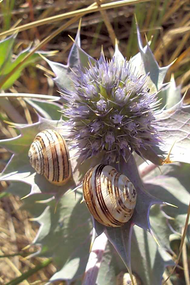 Les Chambres des Gites des Isles