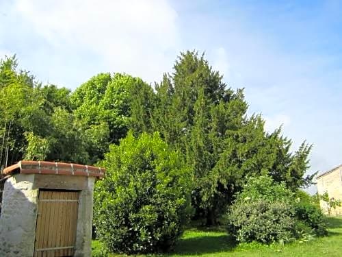 Les Cagouilles