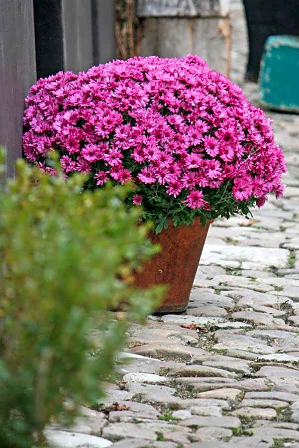 Hotel Prins van Oranje