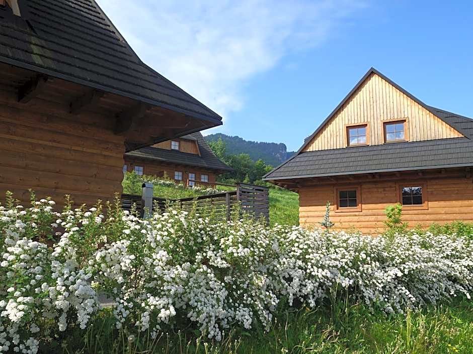 Drevenica pod smrekom