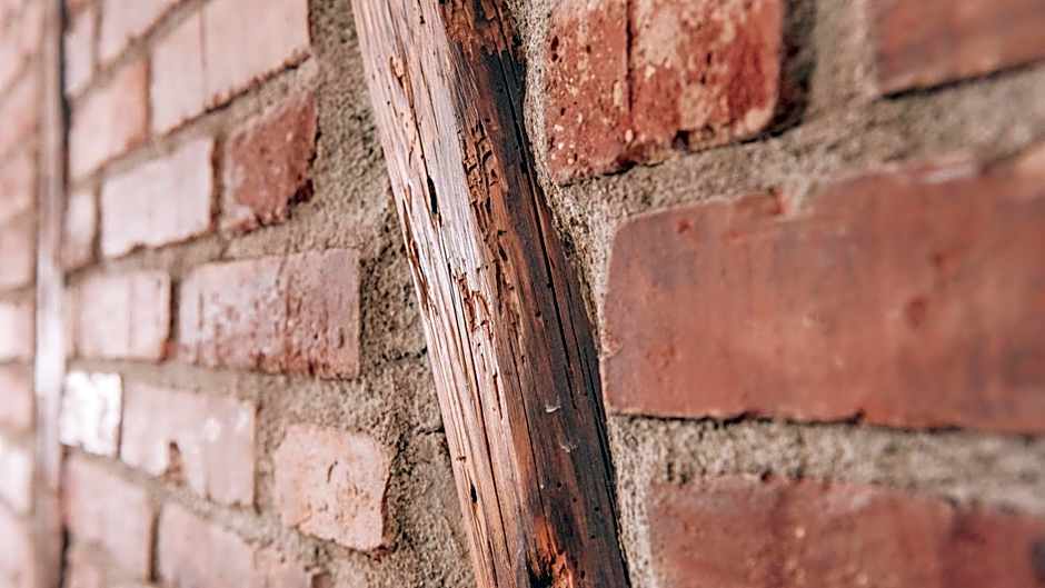 Biohotel Kunstquartier