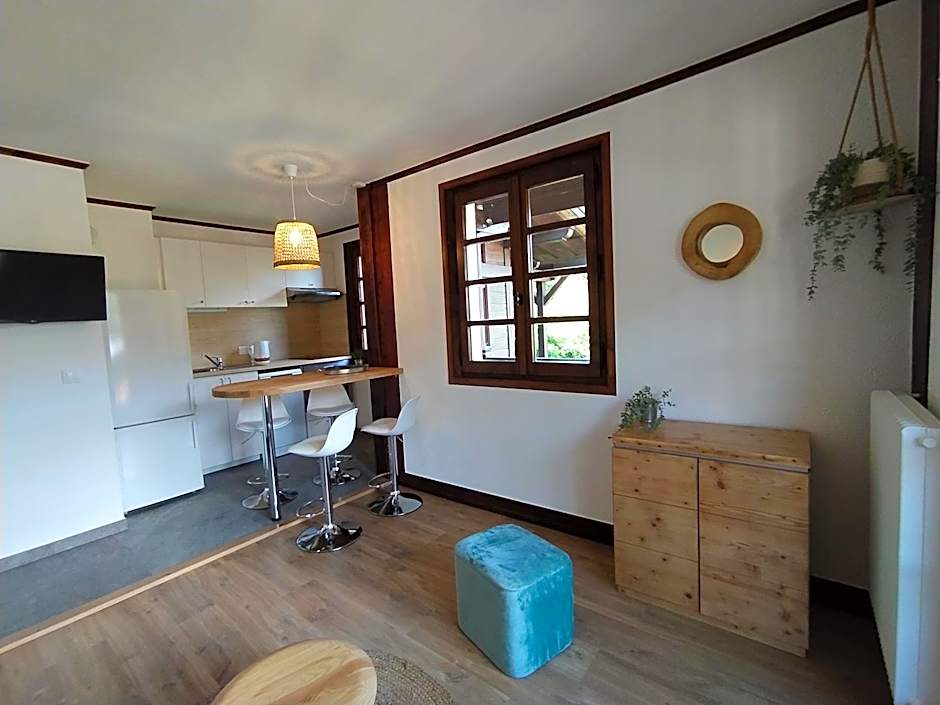 Chalet Appart'Hôtel l'Eau Vive