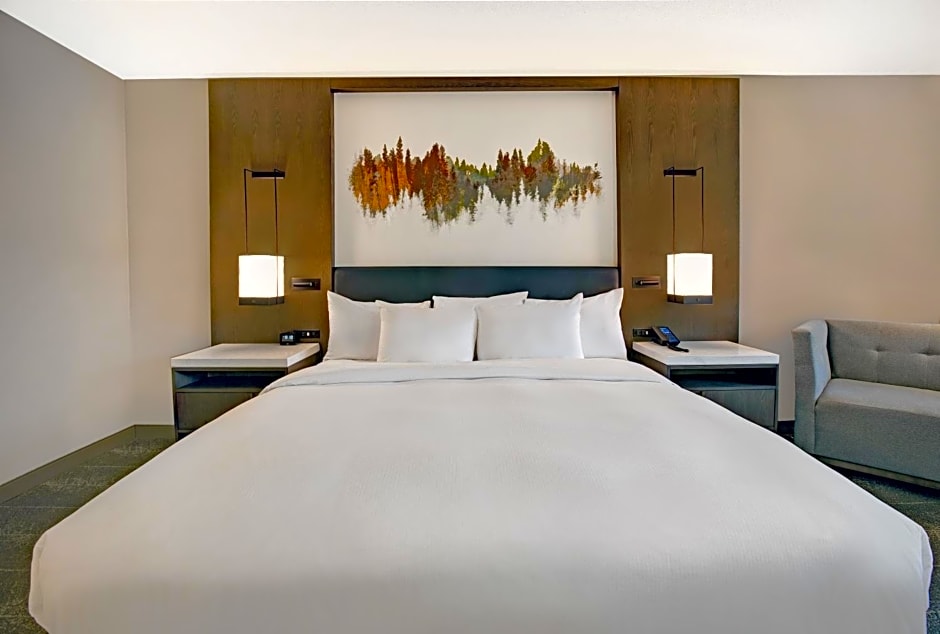 Hilton Peachtree City Atlanta Hotel & Conference Center