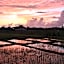 The Hideaway Canggu