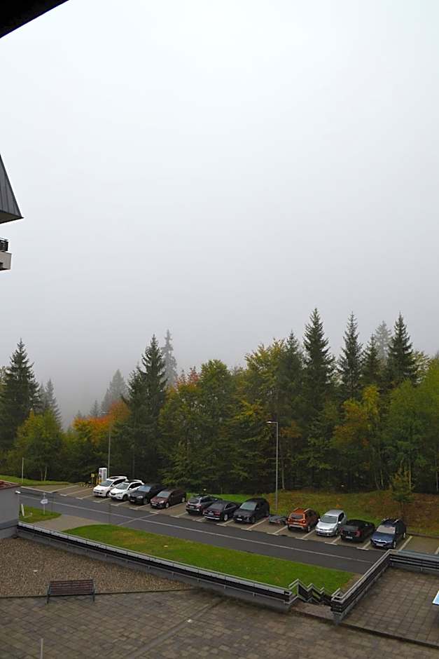 Mountain Nest in Silver Mountain Poiana Brasov
