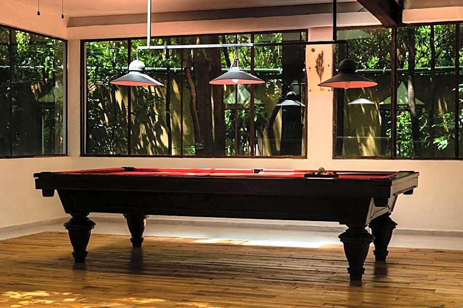 Hotel La Casa de los Árboles Immersive Experience