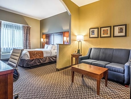 1 King Bed, Suite, No Smoking
