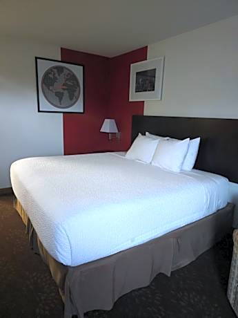 King Room - Non-Smoking