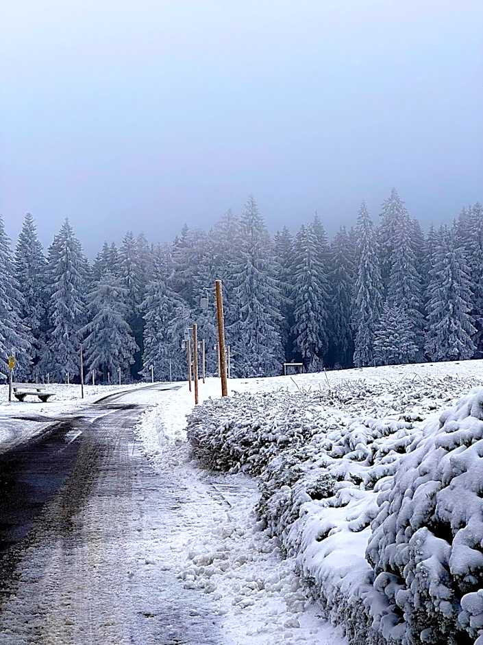 Boutique Hotel Dorer