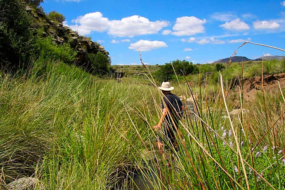 Sneeuberg Nature Reserve