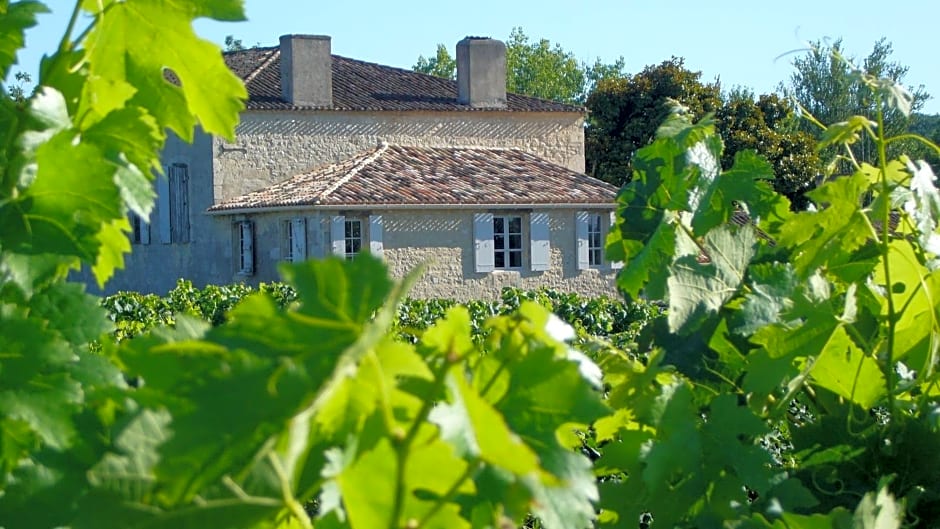 Maison Le Sèpe - Vignoble Bio et Maison d'hôtes