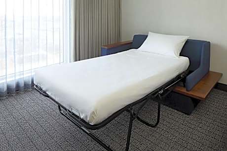 Deluxe King Studio with Sofa Bed