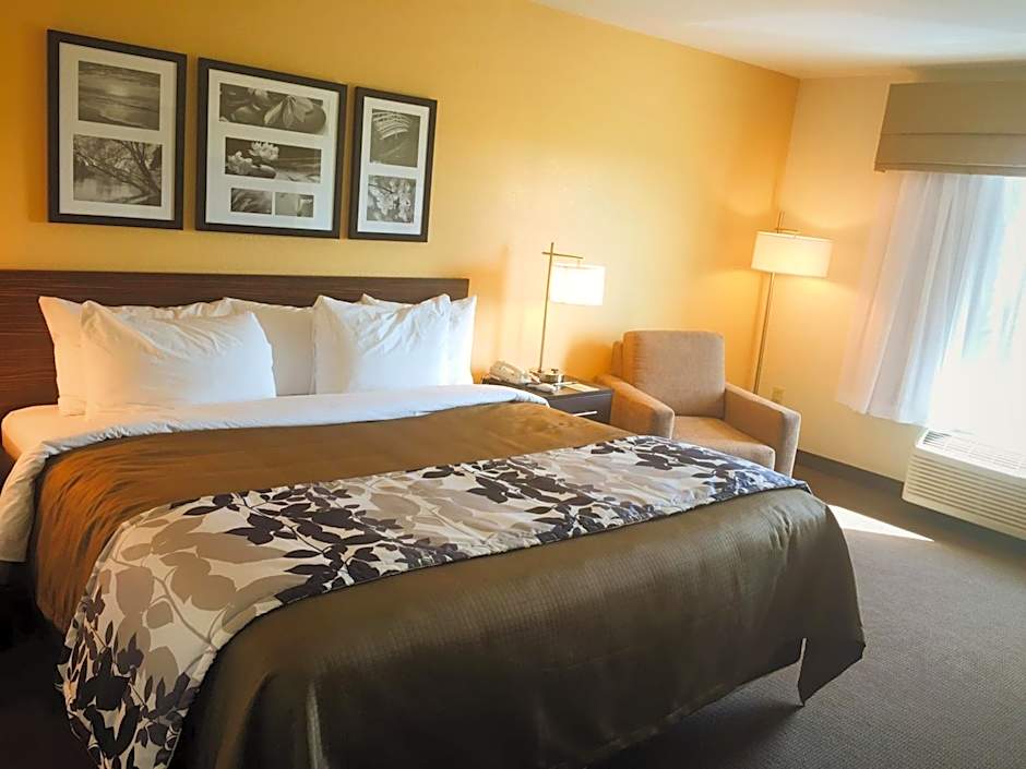 Sleep Inn & Suites Carlsbad Caverns Area