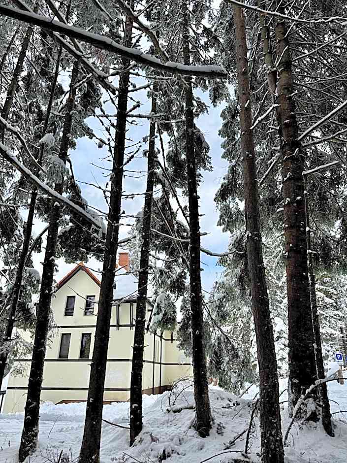 Berghof Eva - Hotel