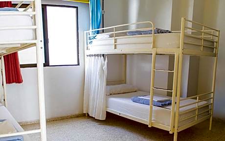 Bed in 4-Bed Mixed Dormitory Room