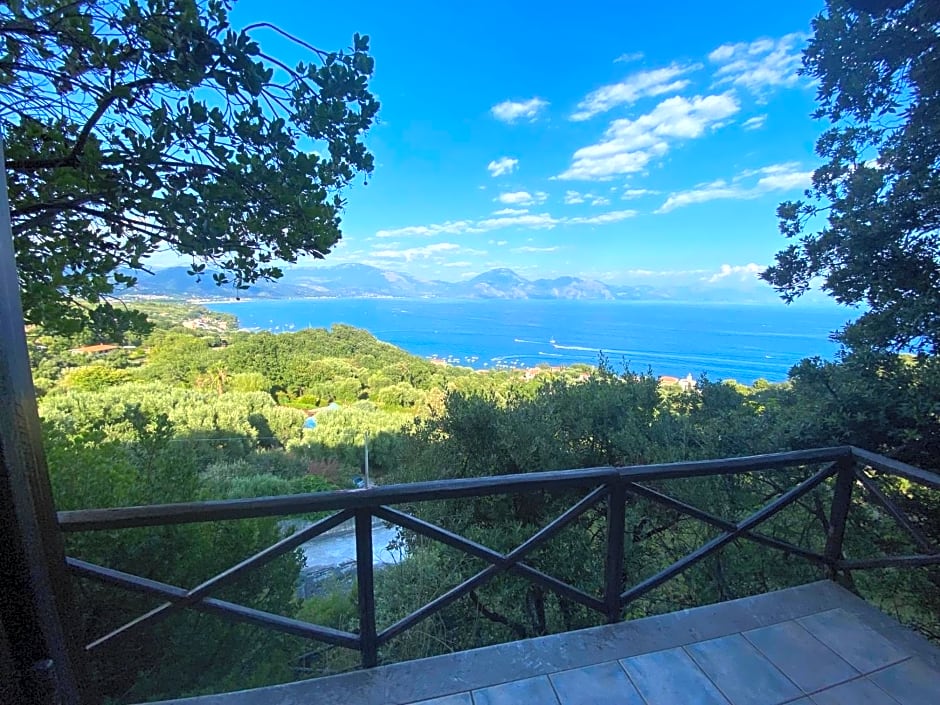 Maison Du Reve Scario