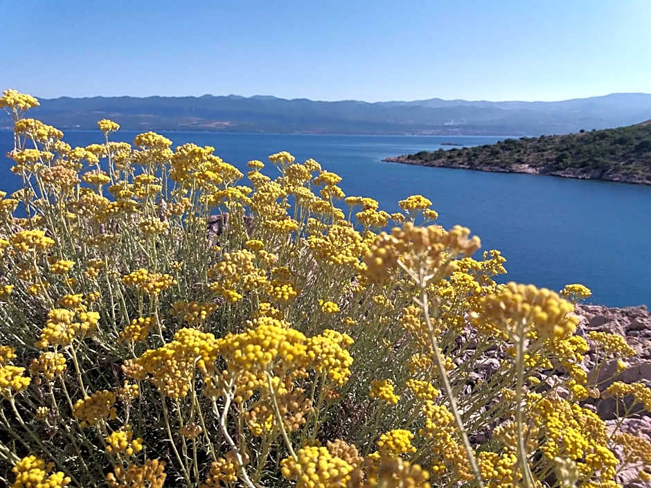 DESIGN hotel VERBENICUM