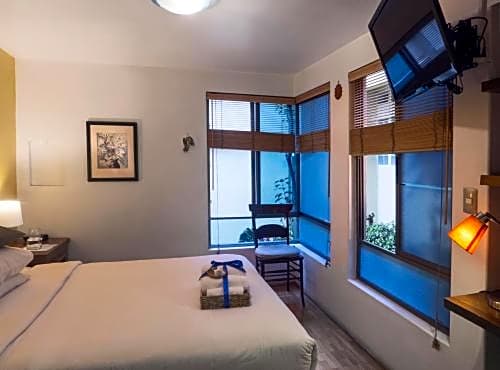 Chalet del Carmen, Coyoacán