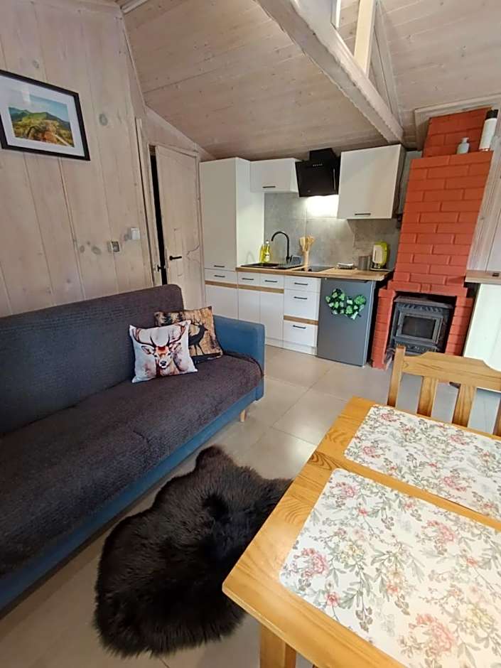 Domki Bieszczadzki Czar Rodzinny 661-850-410