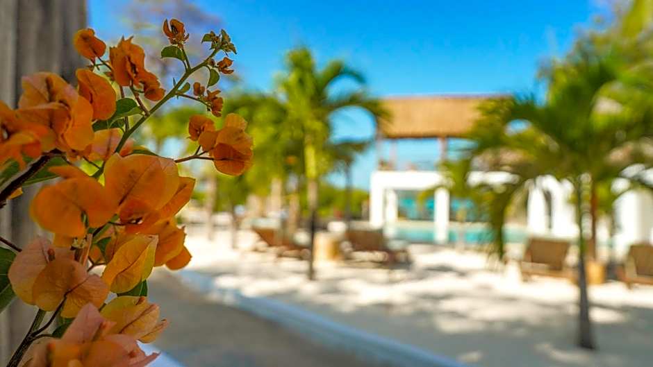The Mida Creek Hotel