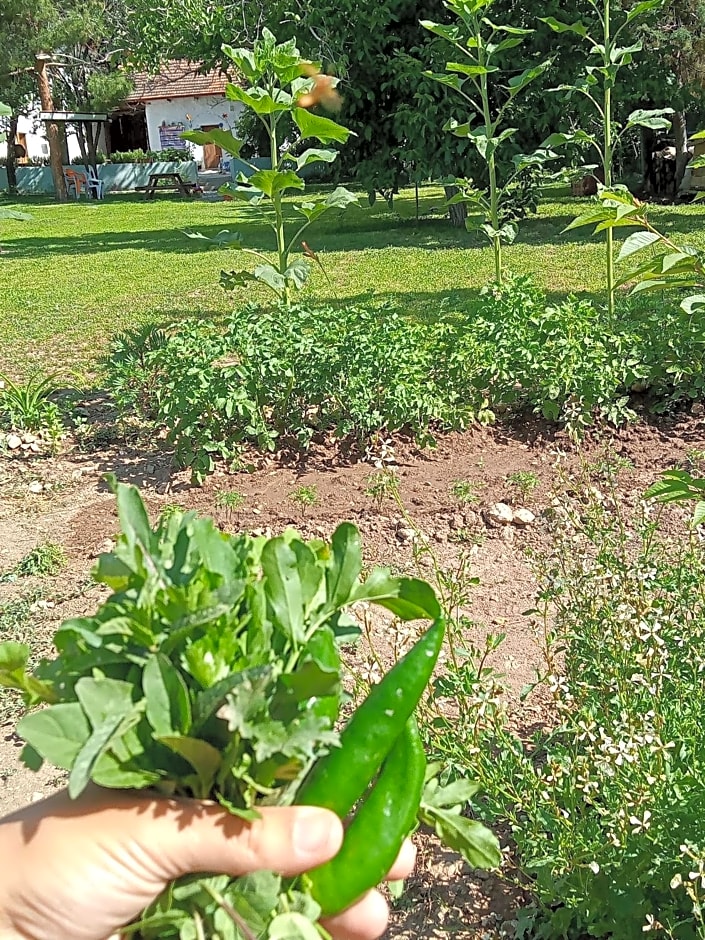 Koca Kapı Konaklama