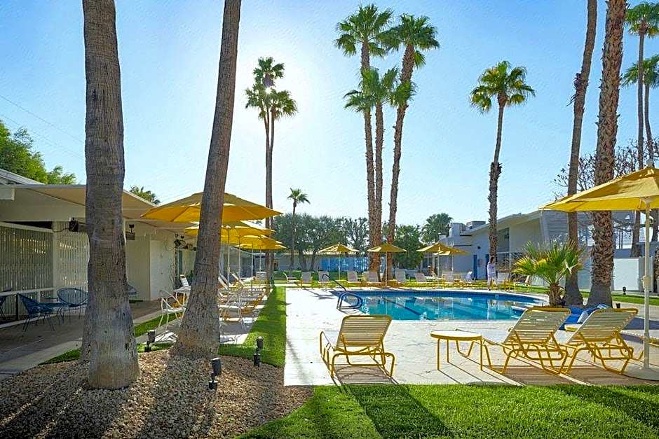 The Monkey Tree Hotel