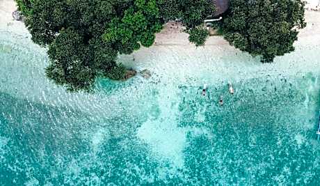 Pescador View - Beachfront ,Extensions & nearby the Ocean Hostels & Restaurant Moalboal