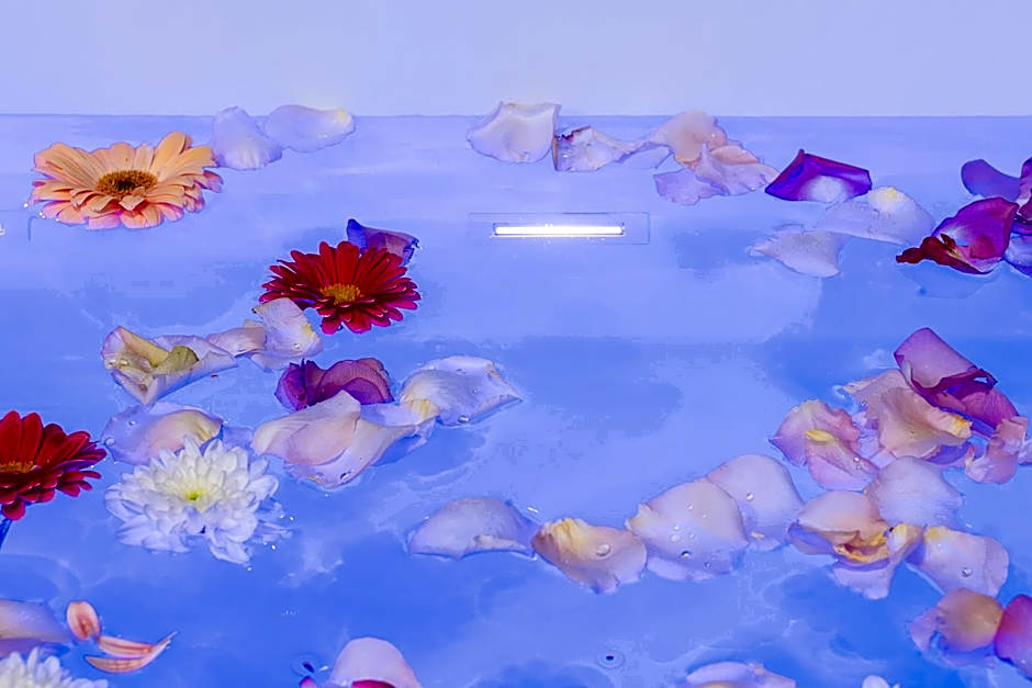 Host Inn Bien-être SPA JACUZZI Downtown