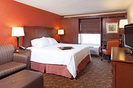 King Suite - Mobility and Hearing Access/Non-Smoking