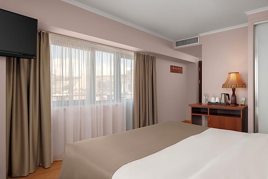 Ani Plaza Hotel