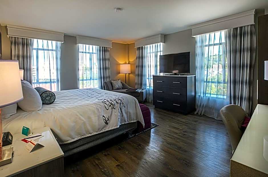Hotel Indigo BIRMINGHAM FIVE POINTS S - UAB By IHG