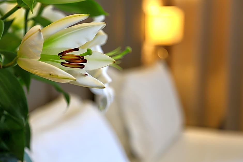 Klima Hotel Milano Fiere