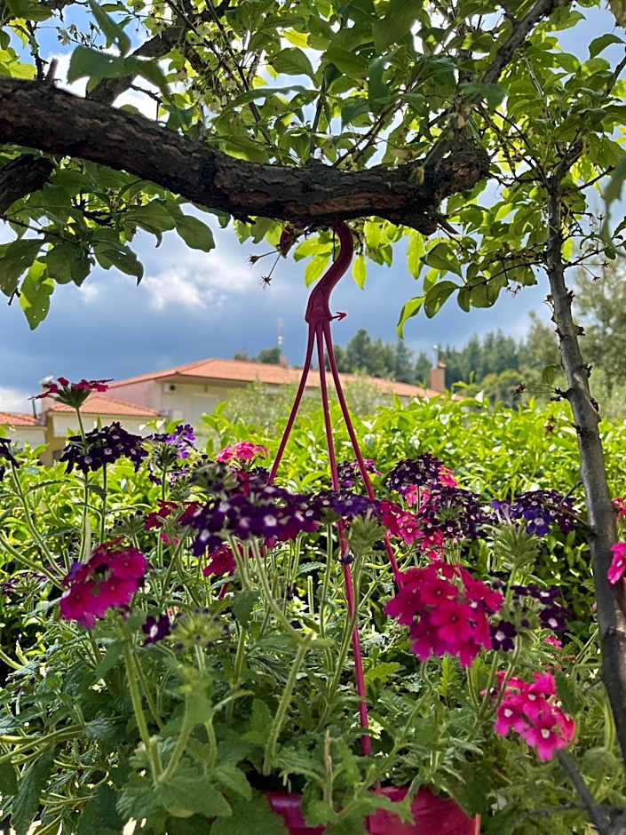 Sun Sight - Deluxe Premium Suites