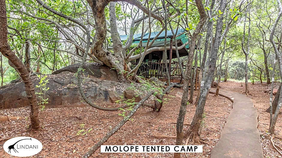 Lindani Game and Lodges