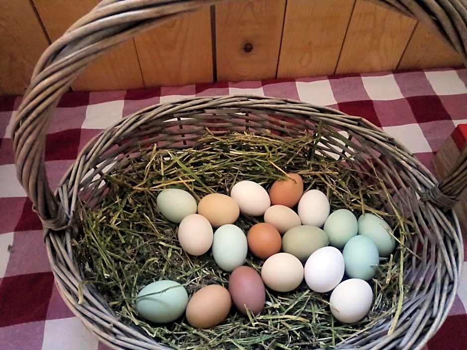 Agritur Airone Bed & Camping