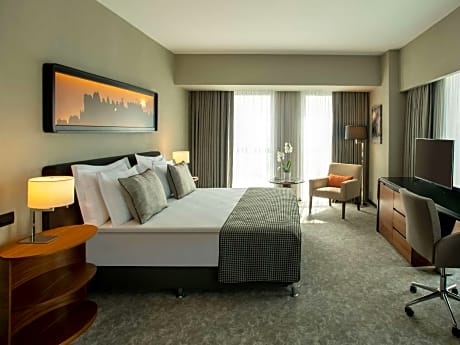 Deluxe Room with 2 Single Beds