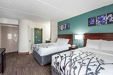 Standard Room with Two Double Beds