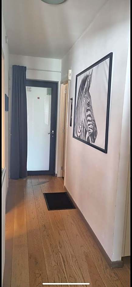 BnB Antwerp Centrum