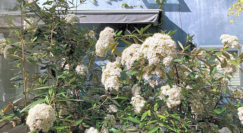 La Casa Blu di Monasteto