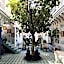 Riad Dar Saad - Hammam & Rooftop Café