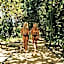 Palmar Beach Lodge
