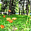 Sopot 34 przy plaży
