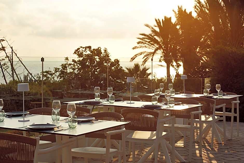 Mare Paphos