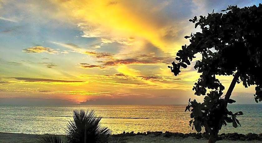 Arora Inn at Maafushi Island Maldives