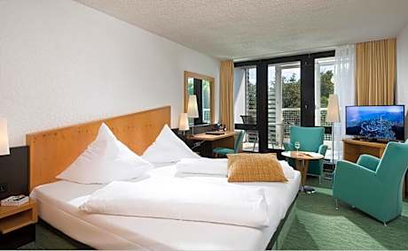 Comfort Double Room with Park View