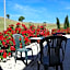 B&B Monticelli