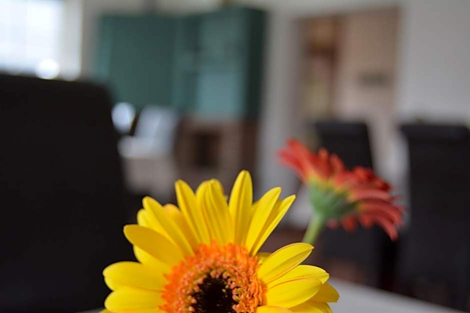 Garni Pension B r o c k e n h e x e