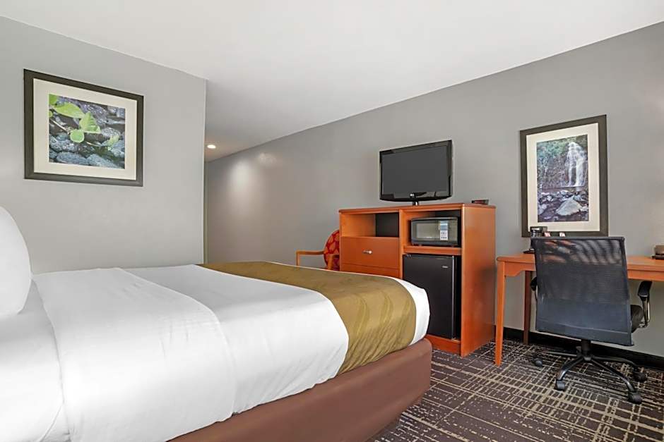 Quality Inn & Suites Birmingham - Highway 280